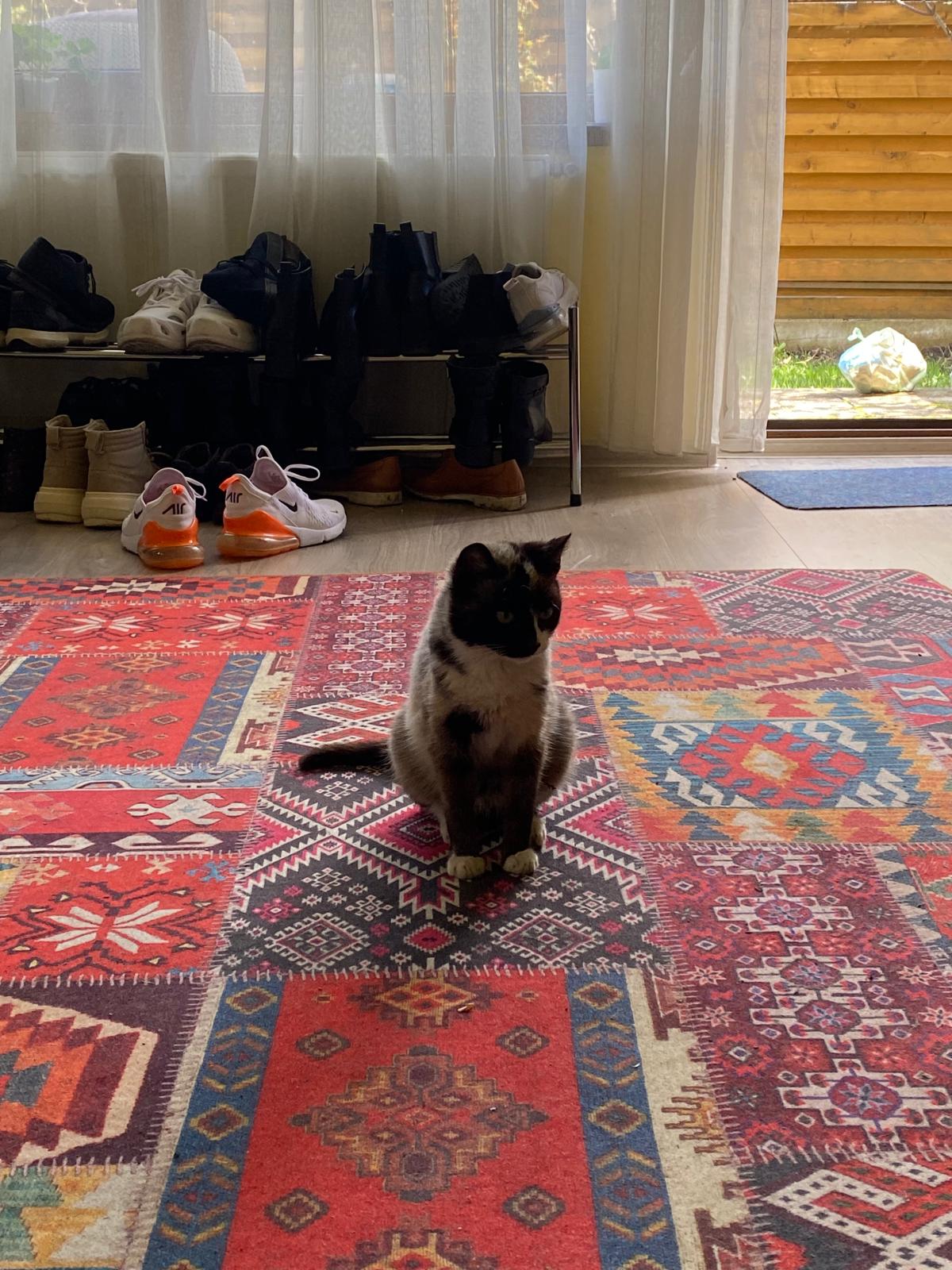 Imagine suplimentară